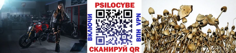 Купить закладки  Вельск  Галлюциногенные грибы GOLDEN TEACHER 